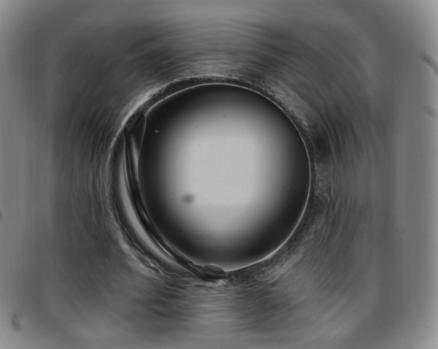 X0000097890580200803141335