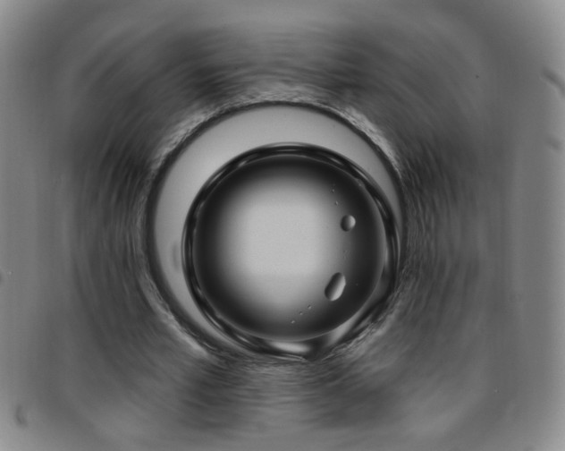 X0000097890581200803141335