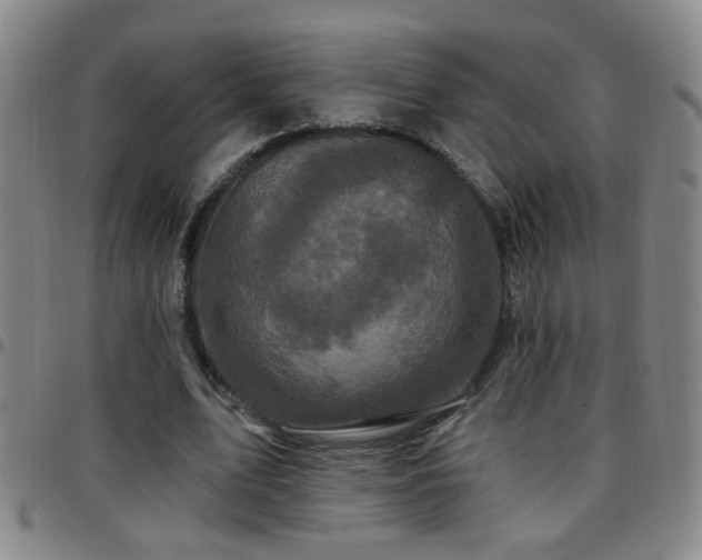 X0000097890583200803141335