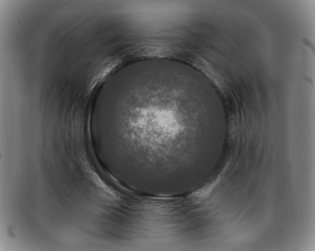 X0000097890585200803141335