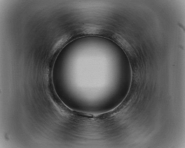 X0000097890586200803141335
