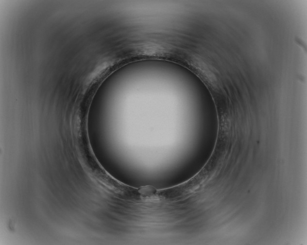 X0000097890587200803141335