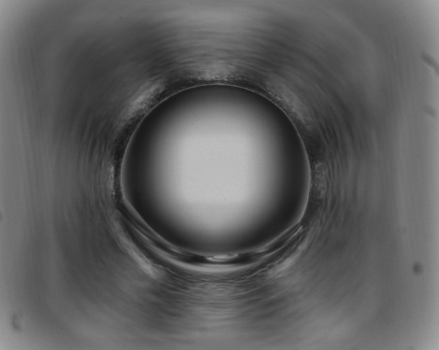X0000097890589200803141335