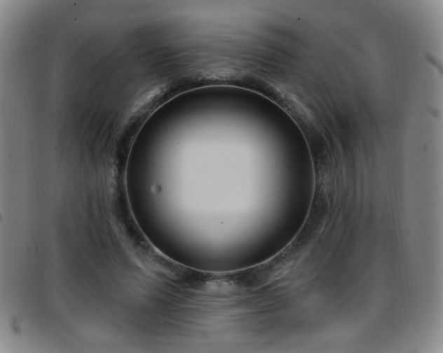 X0000097890591200803141335