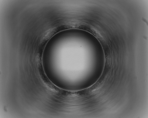 X0000097890594200803141335