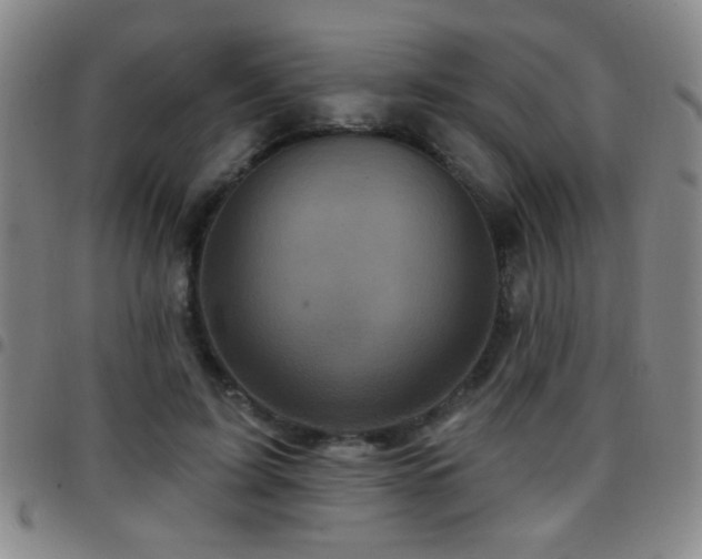 X0000097890595200803141335