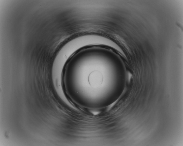 X0000097890596200803141335