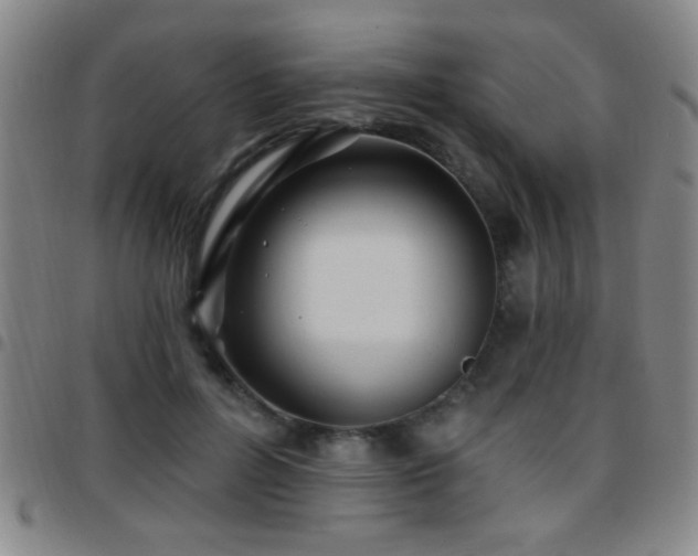 X0000097890600200803141334