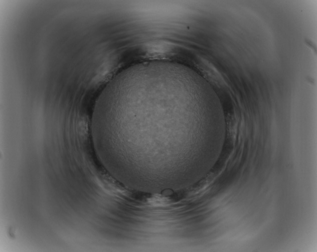X0000097890603200803141334