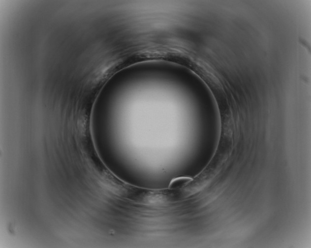 X0000097890604200803141334