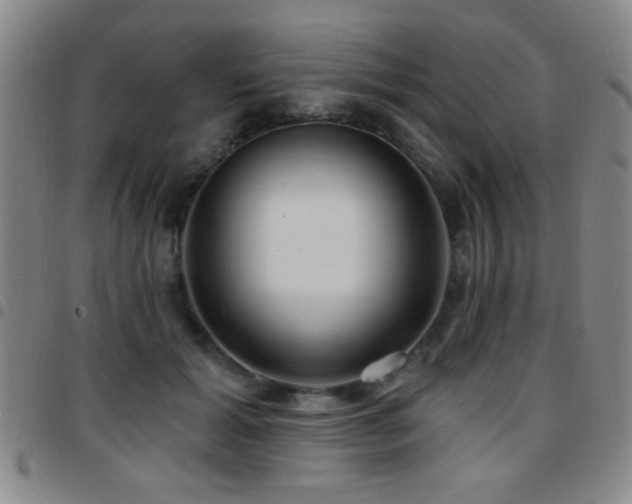 X0000097890605200803141334