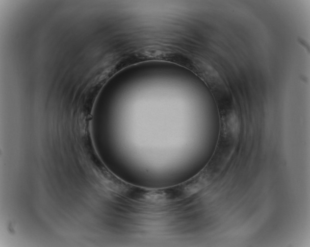 X0000097890606200803141334