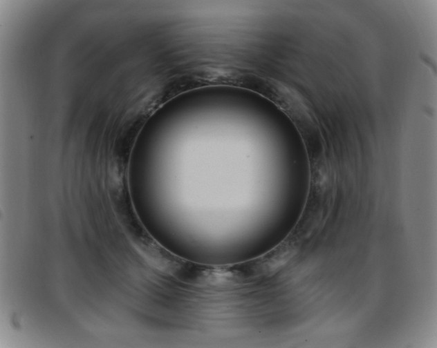 X0000097890607200803141334