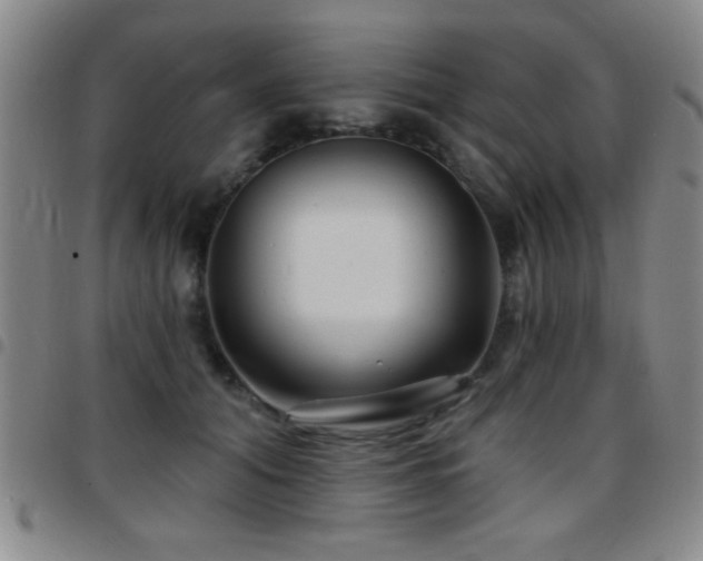 X0000097890608200803141334