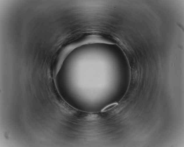 X0000097890609200803141334