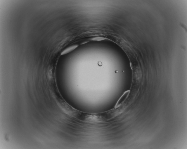X0000097890611200803141334