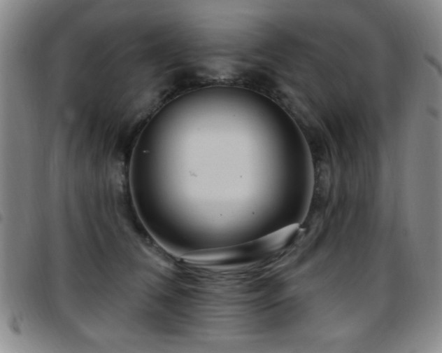 X0000097890612200803141334
