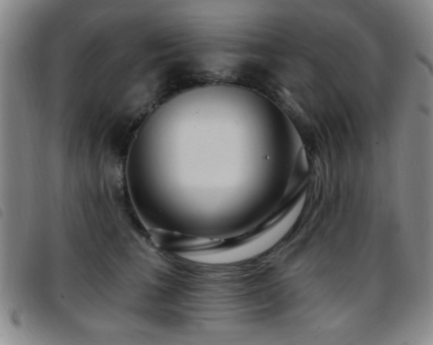 X0000097890613200803141334