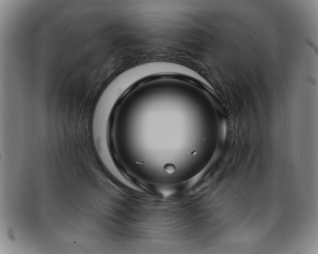 X0000097890614200803141334