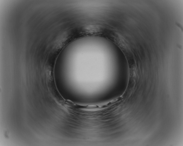 X0000097890615200803141334