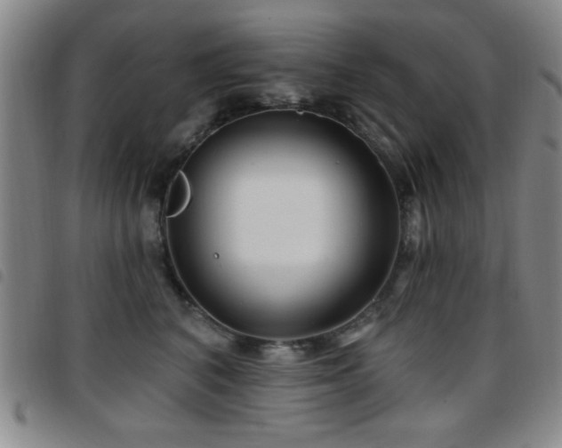 X0000097890616200803141334