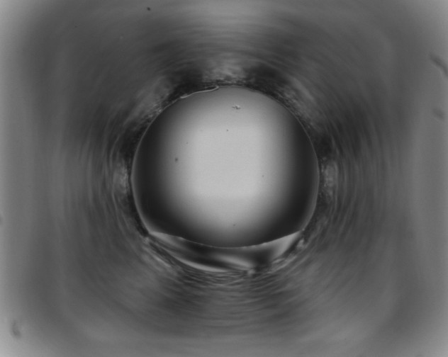 X0000097890617200803141334