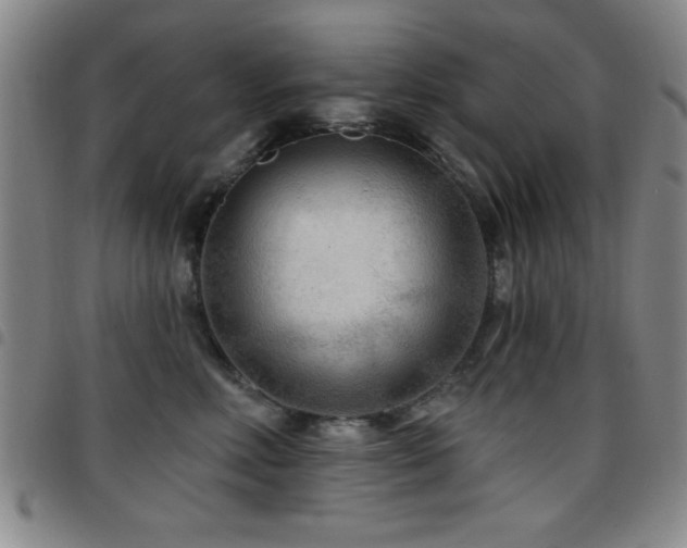 X0000097890618200803141334