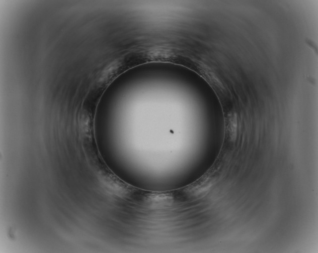 X0000097890619200803141334