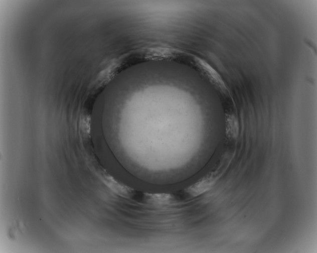 X0000097890621200803141334