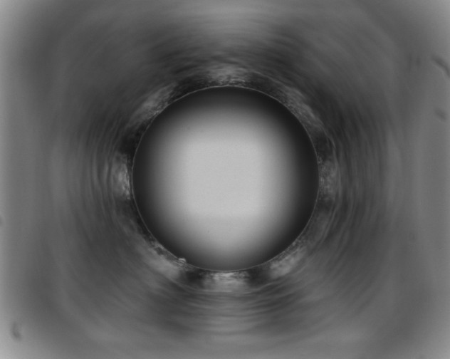 X0000097890622200803141334