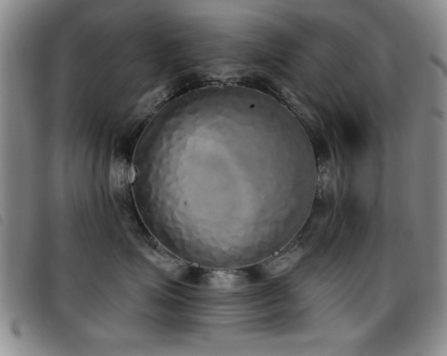 X0000097890623200803141334