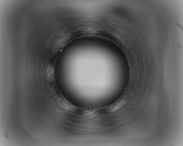 X0000097890624200803141334