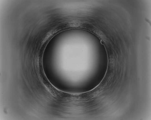 X0000097890626200803141333