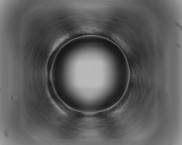 X0000097890630200803141334