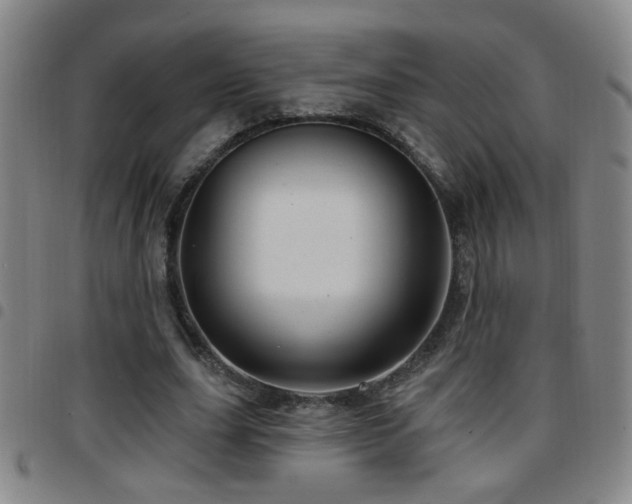 X0000097890631200803141334