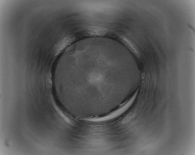 X0000097890634200803141334