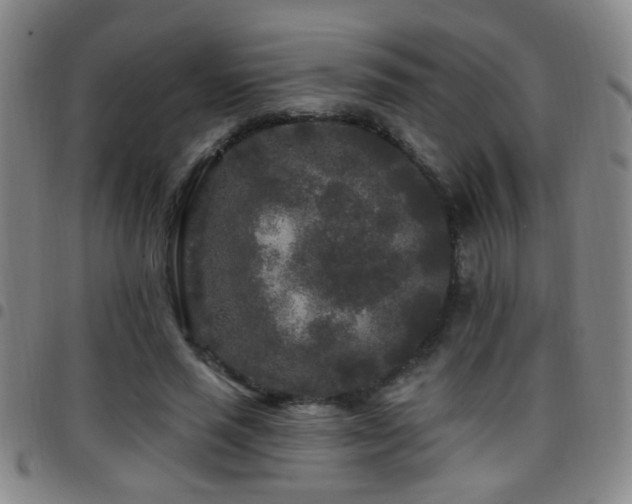 X0000097890637200803141334