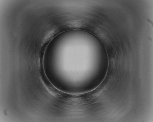 X0000097890638200803141334