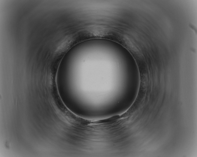 X0000097890639200803141334