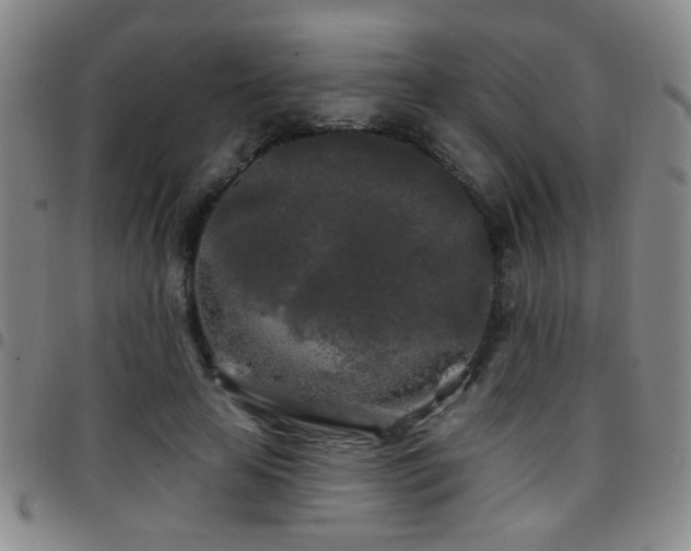 X0000097890641200803141334
