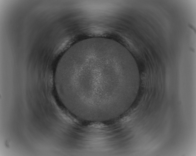 X0000097890642200803141334