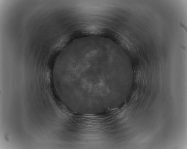 X0000097890643200803141334