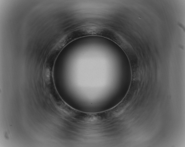 X0000097890646200803141334