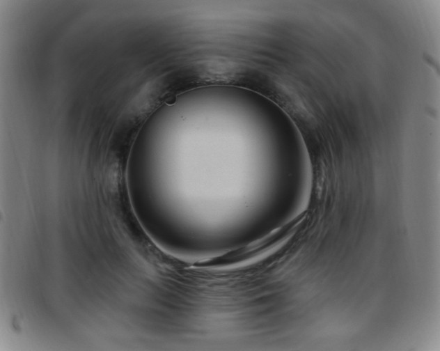 X0000097890647200803141334