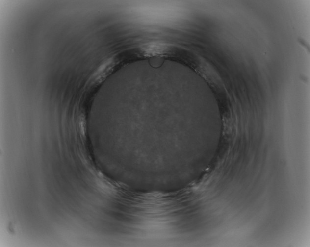 X0000097890648200803141334