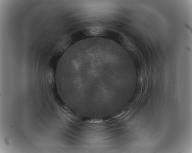 X0000097890651200803141334