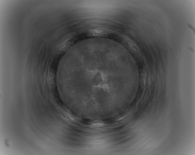 X0000097890653200803141334