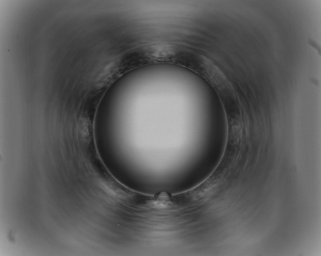 X0000097890654200803141334
