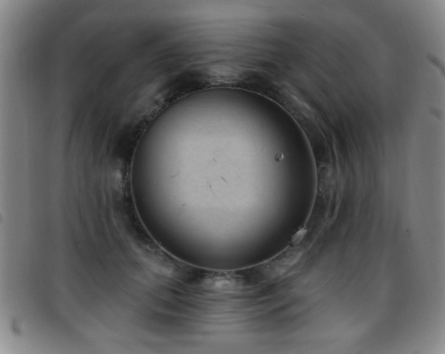 X0000097890655200803141334