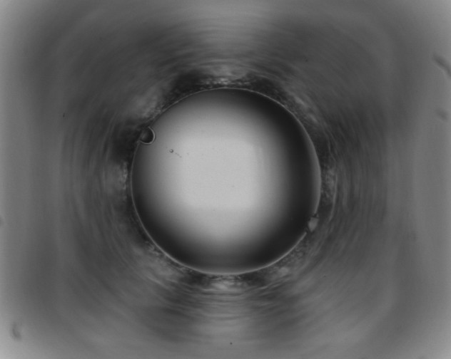 X0000097890657200803141334